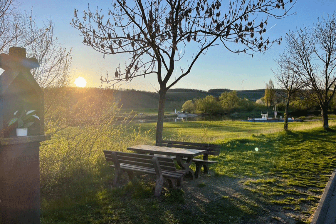 Weinwanderung Fahr Main