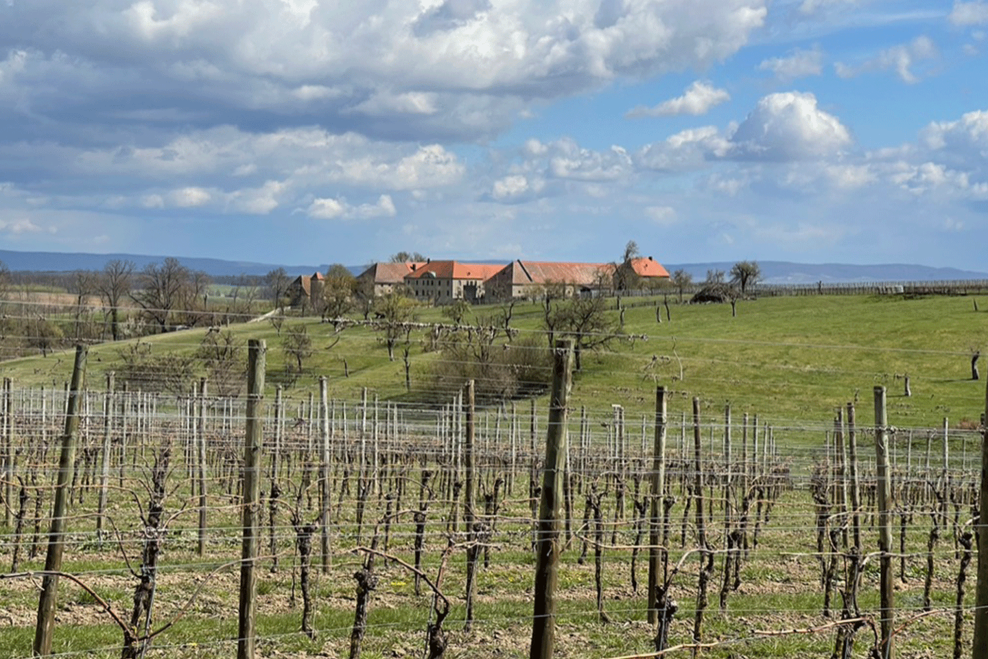 08_Gravel-Hallburg_1440x960 Gravel-Hallburg