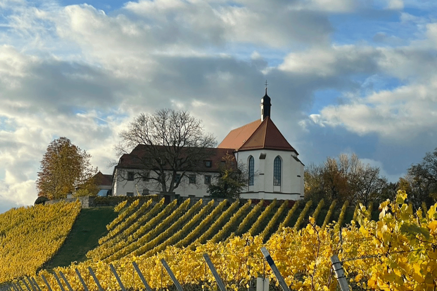 09_WInterzauber_Vogelsburg_02 WInterzauber_Vogelsburg