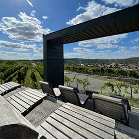 Weinerlebnistour Weinkino