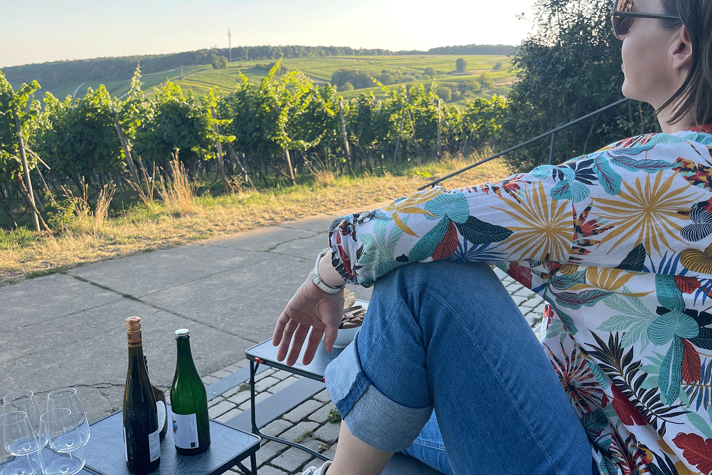 Weinerlebnistouren 2026 Hallo Franken